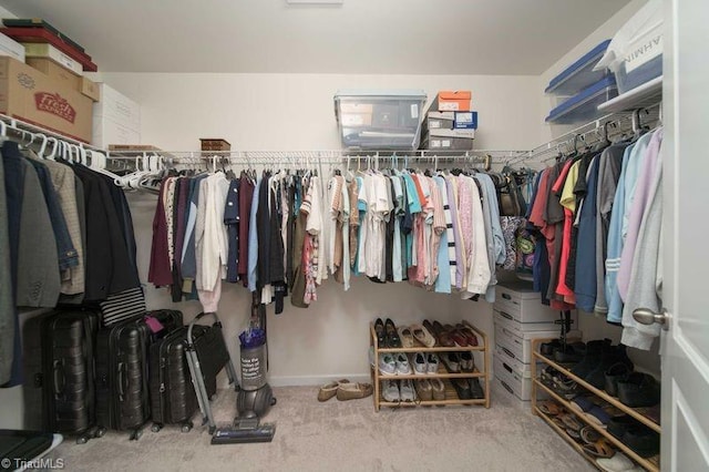 spacious closet featuring carpet floors