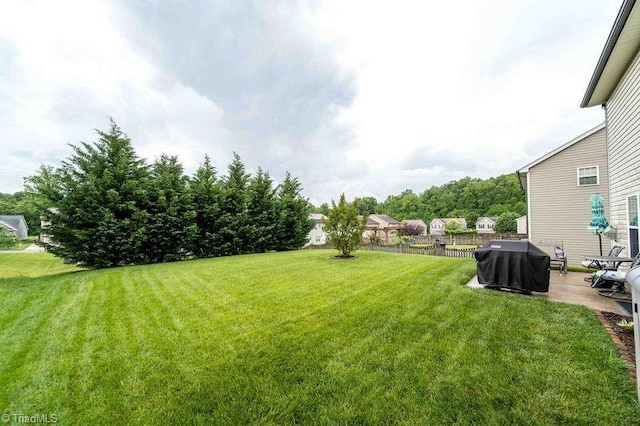 view of yard featuring a patio area