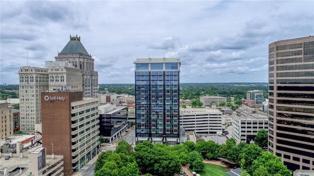 201 N Elm St Unit 310, Greensboro, NC 27401 - city view