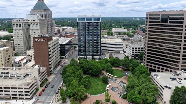 201 N Elm St Unit 310, Greensboro, NC 27401 - city view