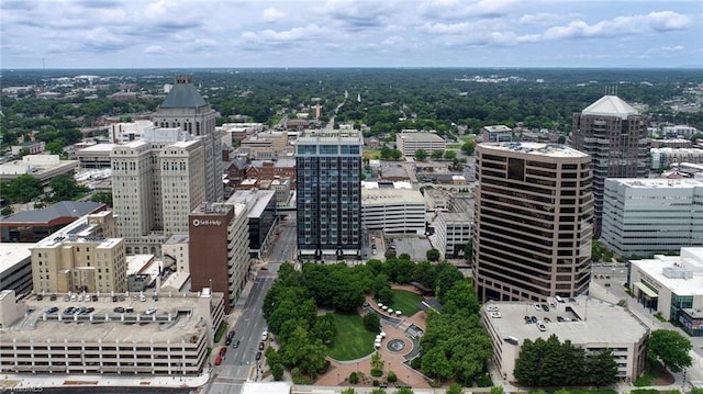 201 N Elm St Unit 310, Greensboro, NC 27401 - city view