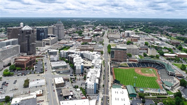 201 N Elm St Unit 310, Greensboro, NC 27401 - view of urban area