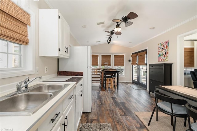 kitchen with a sink, a ceiling fan, dark wood finished floors, healthy amount of natural light, and vaulted ceiling