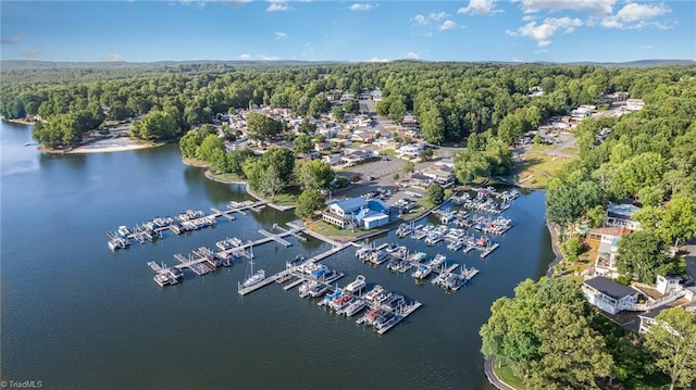 aerial view of a marina, a forest, and a nearby body of water