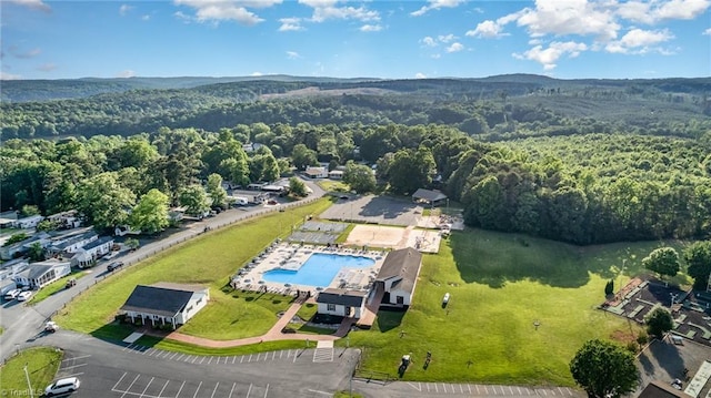 bird's eye view of a forest and a pool area