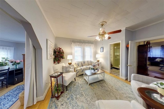 living room featuring ceiling fan, light hardwood / wood-style floors, and crown molding