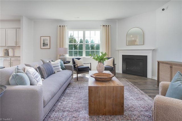 living area featuring a glass covered fireplace and wood finished floors