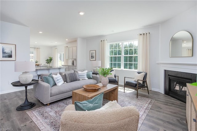 living area featuring a glass covered fireplace, baseboards, recessed lighting, and wood finished floors