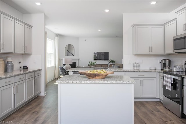 kitchen featuring tasteful backsplash, a fireplace, open floor plan, stainless steel appliances, and recessed lighting