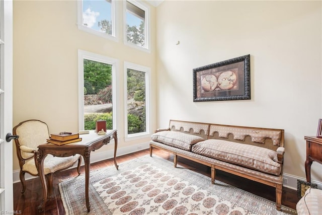 living room featuring a high ceiling and hardwood / wood-style floors