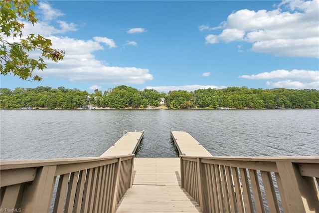 view of dock with a water view