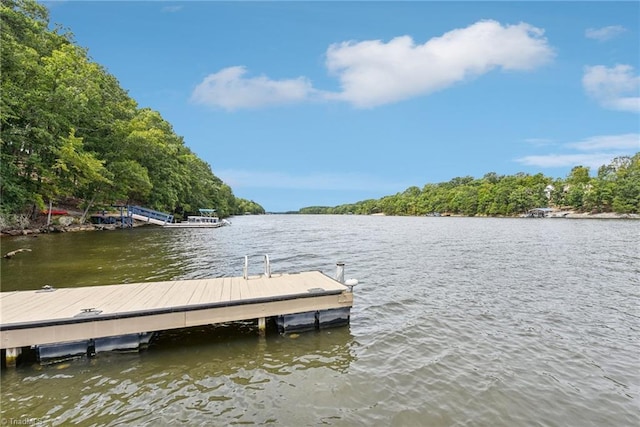 view of dock with a water view