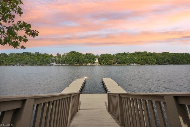 dock area featuring a water view