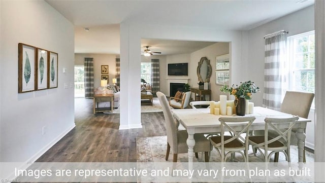 dining space with ceiling fan and dark wood-type flooring