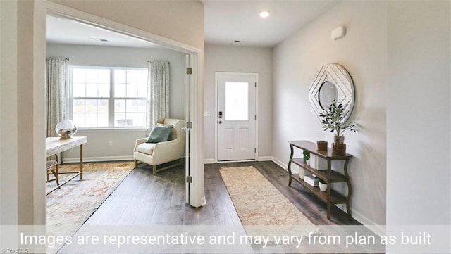 foyer with wood-type flooring and a wealth of natural light