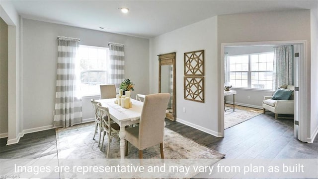 dining room featuring plenty of natural light and dark hardwood / wood-style floors