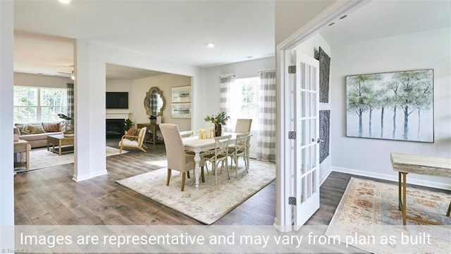 dining space featuring ceiling fan, dark wood-type flooring, and a healthy amount of sunlight