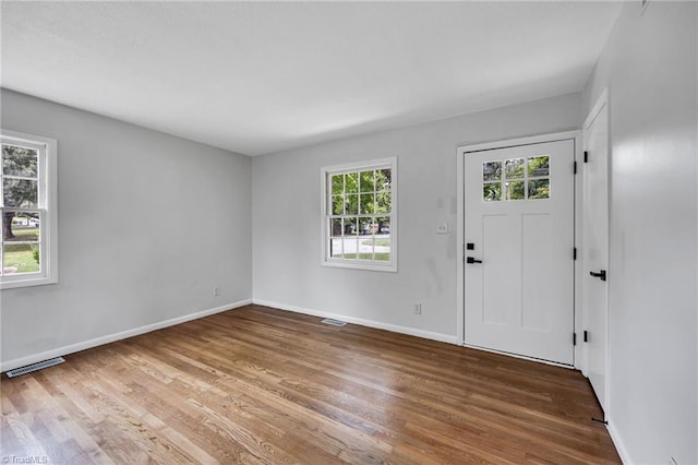 entryway featuring wood-type flooring