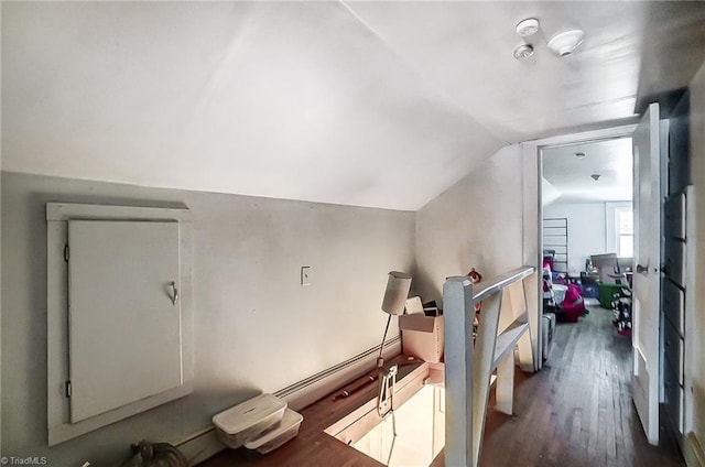 additional living space featuring wood-type flooring and lofted ceiling