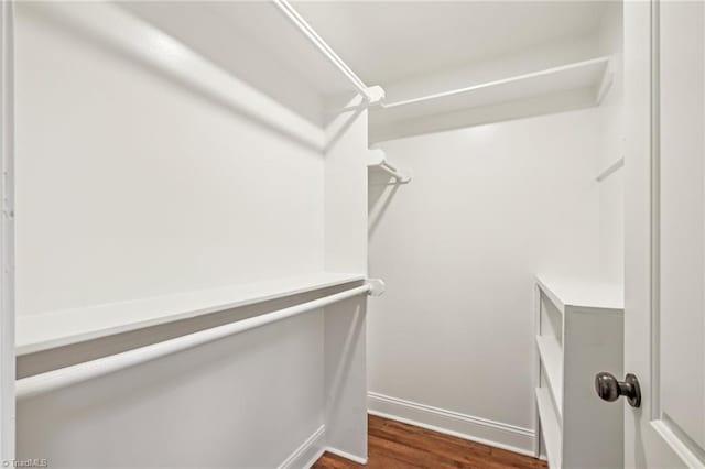 walk in closet featuring dark wood finished floors