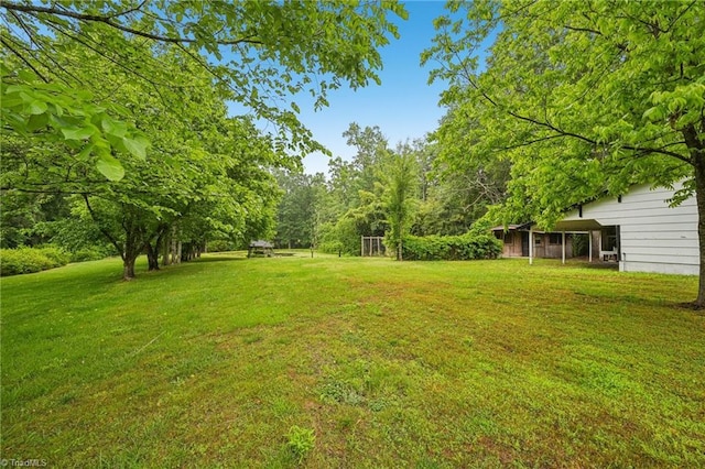 view of grassy yard