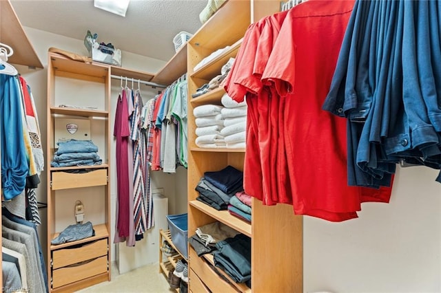 spacious closet with carpet