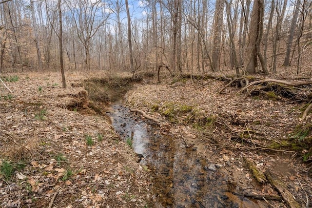 view of landscape with a wooded view