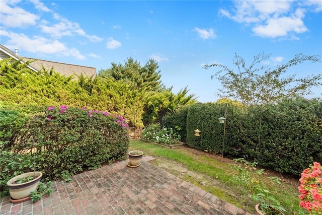 view of yard featuring a patio area