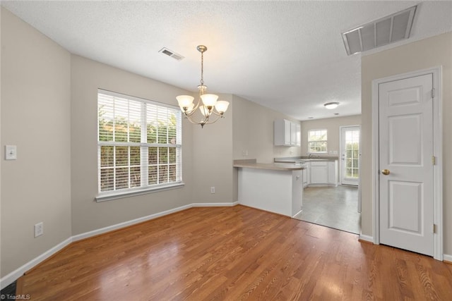 unfurnished dining area featuring a textured ceiling, hardwood / wood-style flooring, a chandelier, and sink