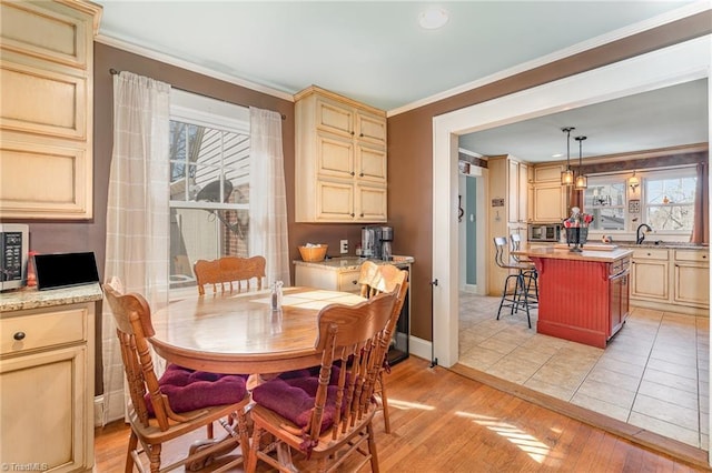 dining space with sink, crown molding, and light hardwood / wood-style floors