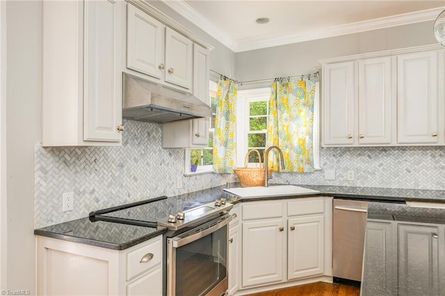 183 Scottsdale Dr, Advance, NC 27006 - kitchen featuring appliances with stainless steel finishes, under cabinet range hood, a sink, tasteful backsplash, and crown molding