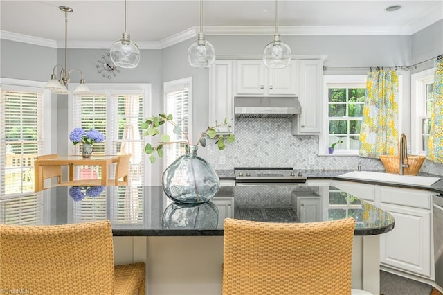 183 Scottsdale Dr, Advance, NC 27006 - kitchen featuring a sink, ventilation hood, stainless steel appliances, decorative backsplash, and dark stone countertops