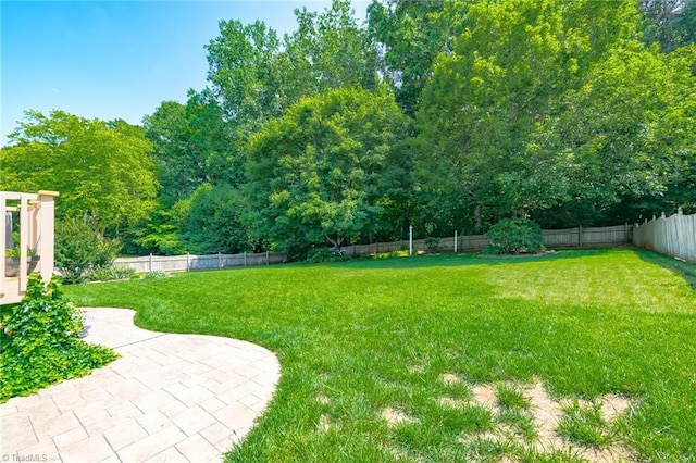 183 Scottsdale Dr, Advance, NC 27006 - view of yard featuring a patio