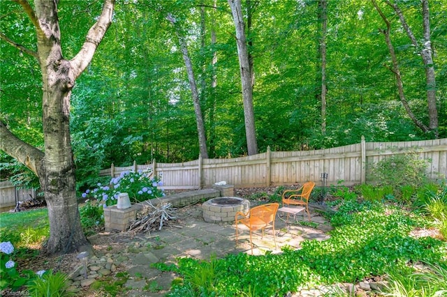 183 Scottsdale Dr, Advance, NC 27006 - fenced backyard featuring a fire pit and a patio area