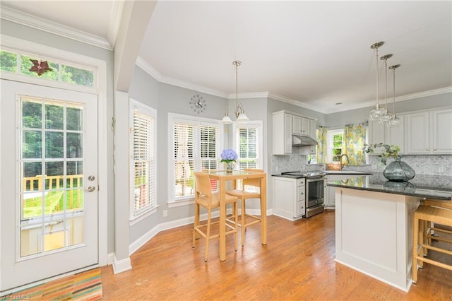183 Scottsdale Dr, Advance, NC 27006 - kitchen with stainless steel range with electric cooktop, under cabinet range hood, healthy amount of natural light, and ornamental molding