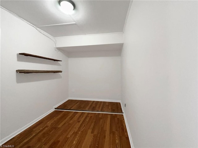 spacious closet featuring wood finished floors