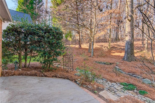 view of yard with a patio area