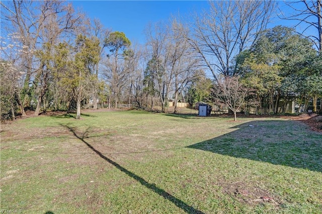 view of yard with a storage unit