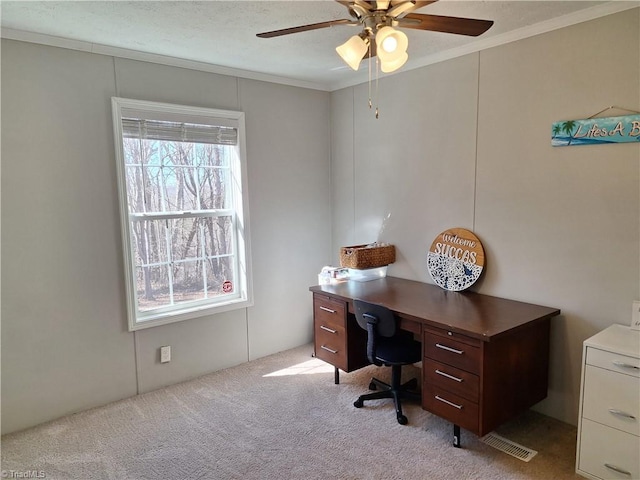 office with ceiling fan, carpet, and crown molding