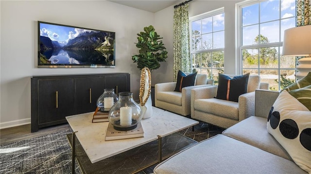 living room featuring dark hardwood / wood-style floors