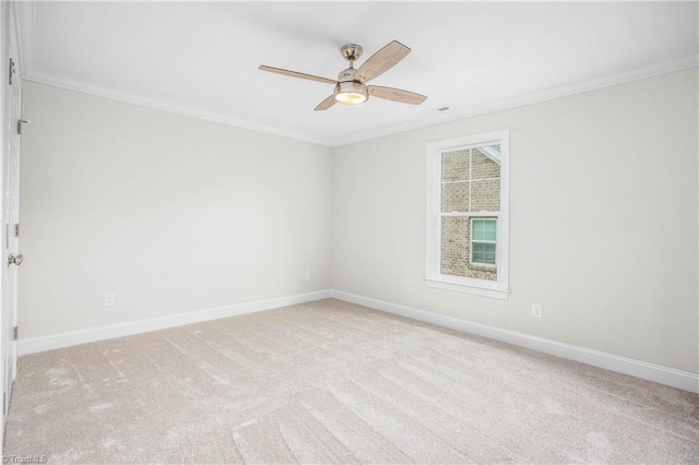 carpeted spare room with ceiling fan and ornamental molding