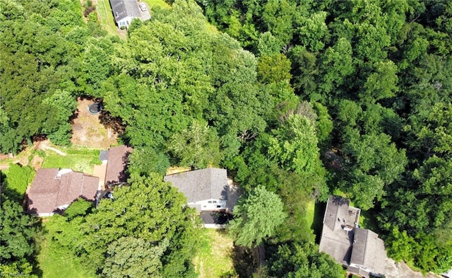 1628 Eagle Crest Dr, Pfafftown, NC 27040 - view of property location