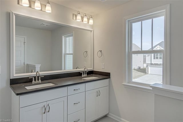 full bathroom with double vanity, plenty of natural light, and a sink