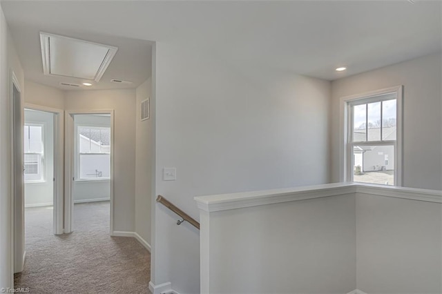 hall featuring carpet floors, plenty of natural light, an upstairs landing, and attic access