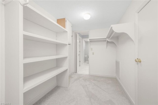 191 Fairway Dr, Advance, NC 27006 - walk in closet with light colored carpet