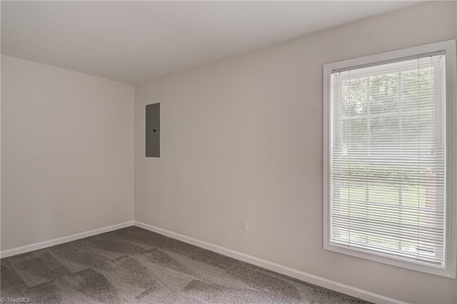 5201 Harvey Rd, Jamestown, NC 27282 - spare room with electric panel, dark colored carpet, and plenty of natural light