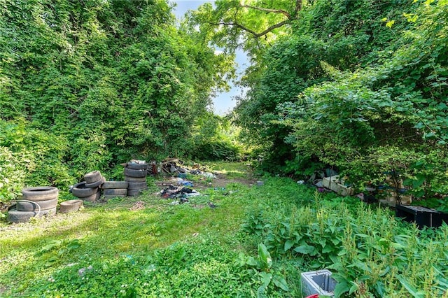 808 Devonshire St, Winston-Salem, NC 27107 - view of yard