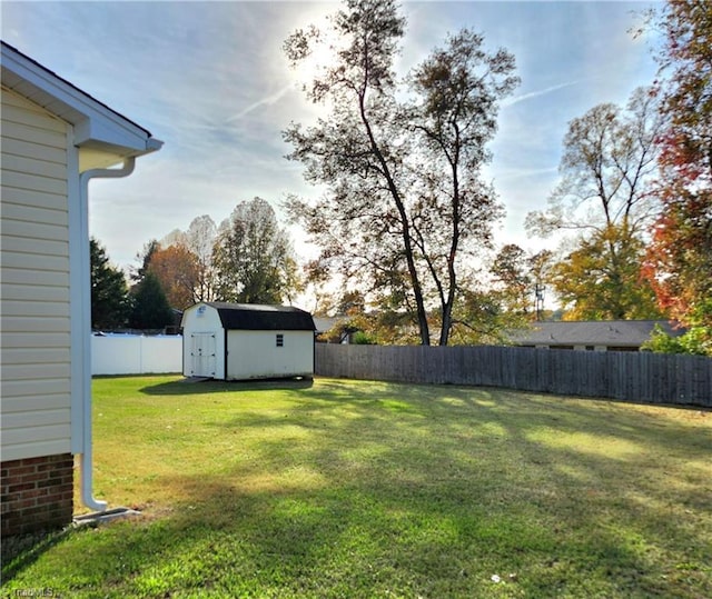 view of yard featuring a shed