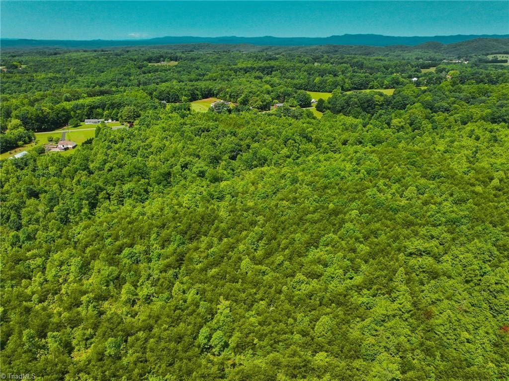 0 Norman Rd, Mount Airy, NC 27030