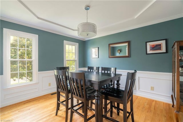 dining space featuring a tray ceiling, light wood finished floors, a healthy amount of sunlight, and a wainscoted wall